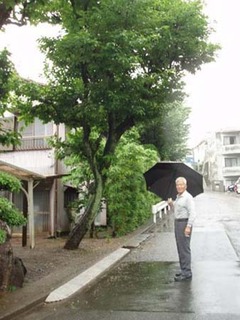傘を差した森会長の写真